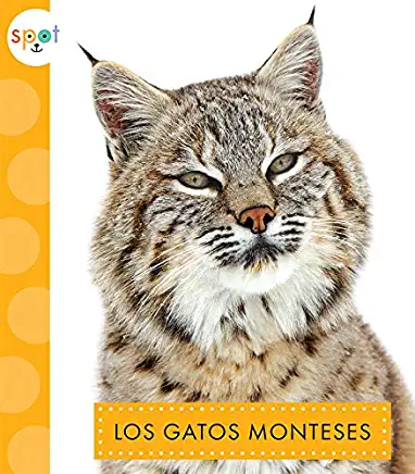 Los Gatos Monteses