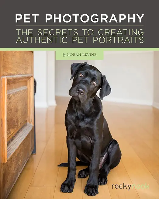 Pet Photography: The Secrets to Creating Authentic Pet Portraits