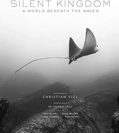 Silent Kingdom: A World Beneath the Waves