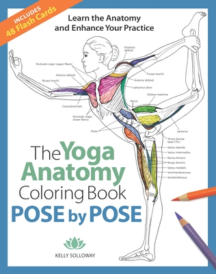 Pose by Pose, Volume 2: Learn the Anatomy and Enhance Your Practice