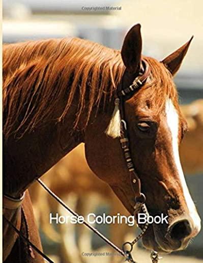 Horse Coloring Book: Coloring Toy Gifts for Toddlers, Kids Ages 4-8, Girls 4-8 8-12 or Adult Relaxation - Cute Easy and Relaxing Realistic