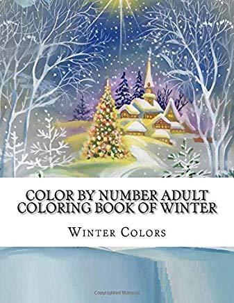 Color By Number Adult Coloring Book of Winter: Festive Winter Fun Holiday Christmas Winter Season Coloring Book