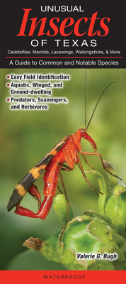 Unusual Insects of Texas Caddisflies, Mantides, Lacewings, Walkingsticks, & More: A Guide to Common and Notable Species