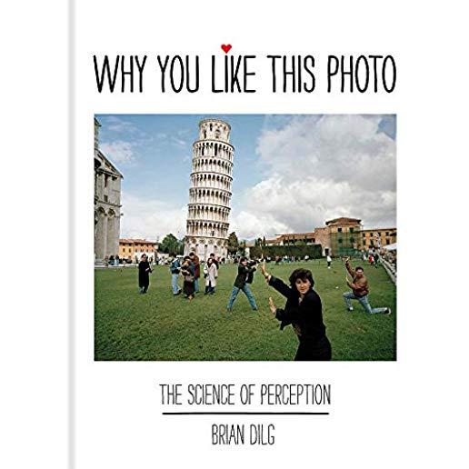 Why You Like This Photo: The Science of Perception, and How We Understand Photographs