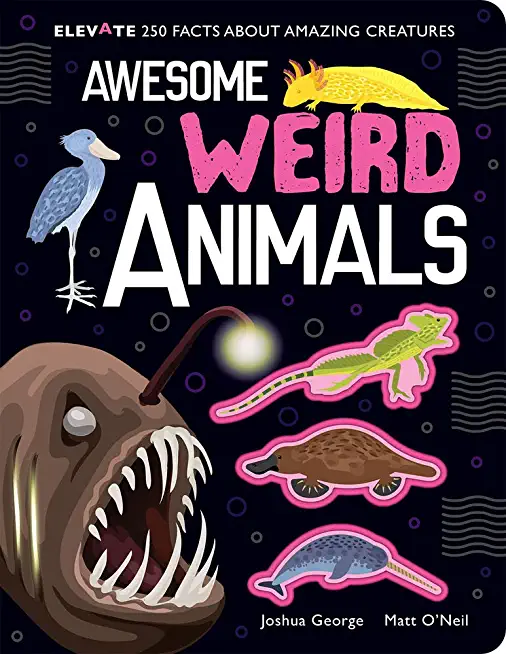 Awesome Weird Animals