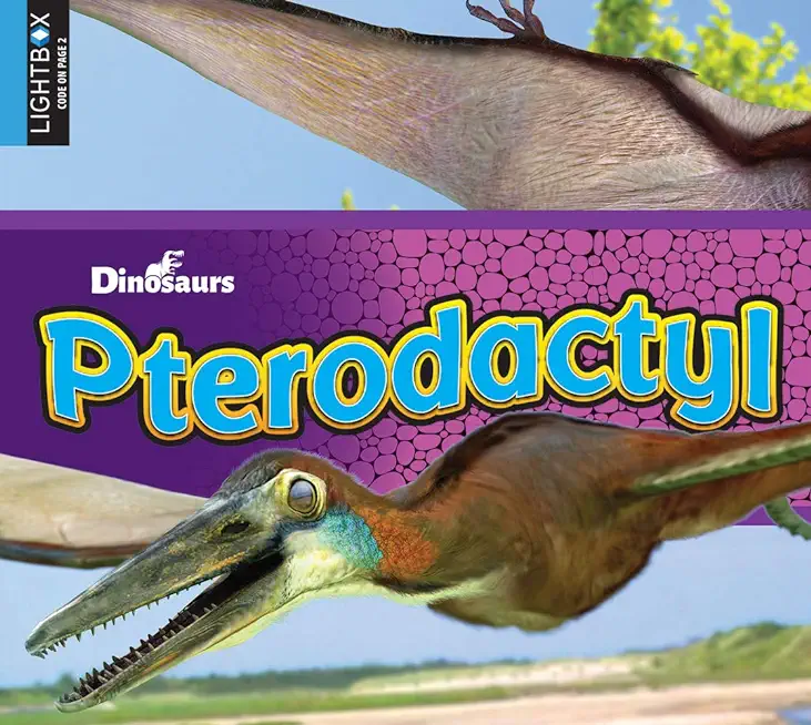 Pterodactyl