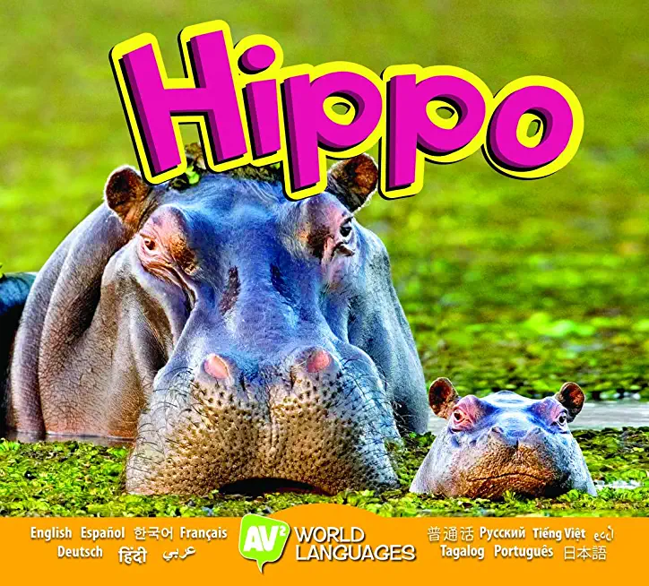 Hippo