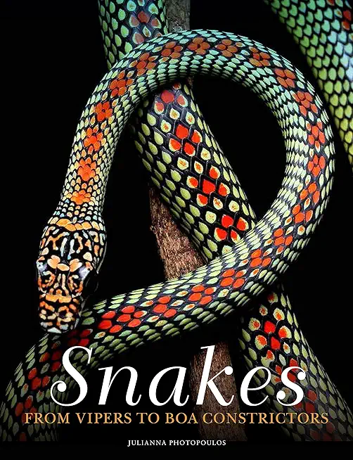 Snakes: From Vipers to Boa Constrictors