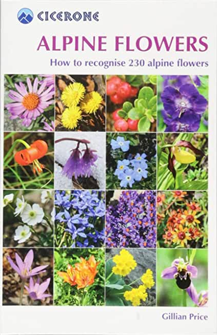 Alpine Flowers: How to Recognize Over 200 Alpine Flowers