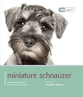 Miniature Schnauzer