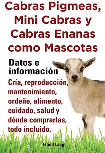 Cabras Pigmeas, Mini Cabras y Cabras Enanas Como Mascota. Datos E Informacion. Cria, Reprodu