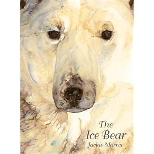 The Ice Bear