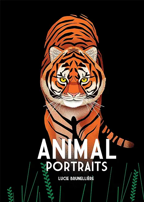 Animal Portraits