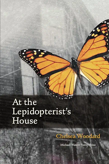 At the Lepidopterist's House