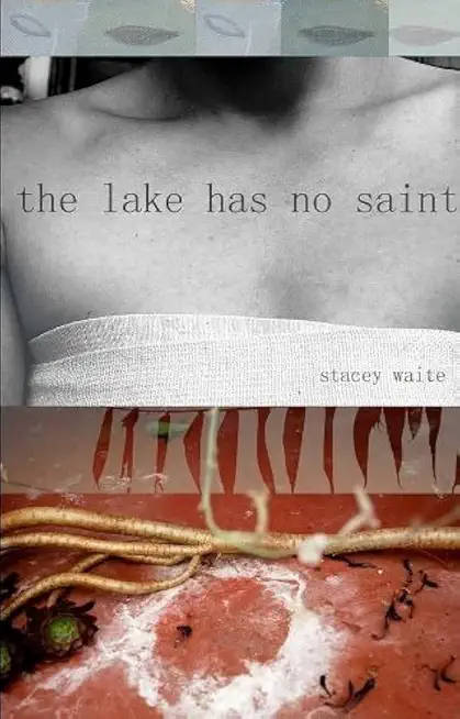 The Lake Has No Saint