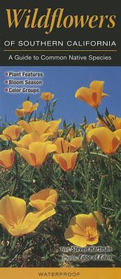 Wildflowers of Southern California: A Guide to Common Native Species