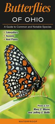 Butterflies of Ohio: A Guide to Common and Notable Species