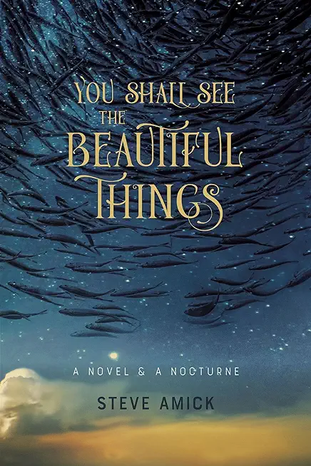 You Shall See the Beautiful Things: A Novel & a Nocturne