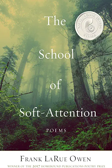 The School of Soft Attention