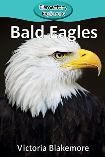 Bald Eagles