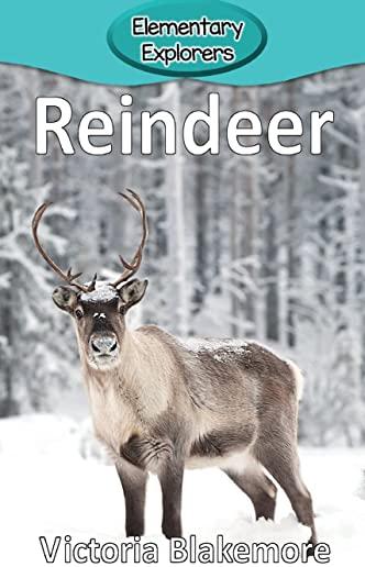 Reindeer