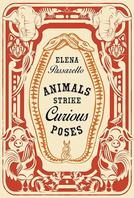 Animals Strike Curious Poses