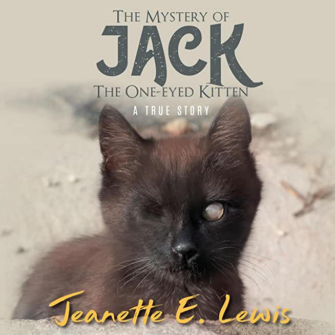 The Mystery of Jack, the One-Eyed Kitten: A True Story