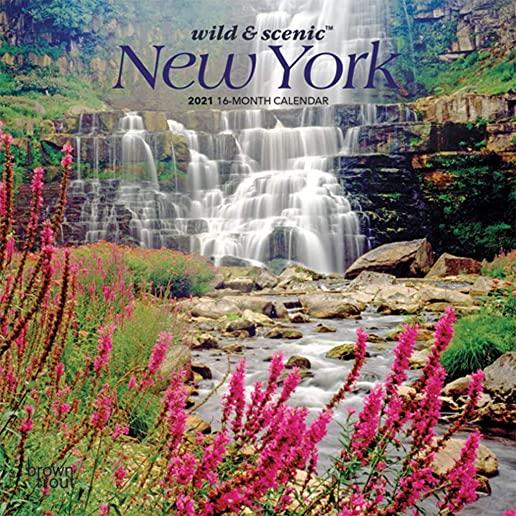 New York Wild & Scenic 2021 Mini 7x7