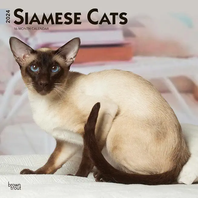 Siamese Cats 2024 Square