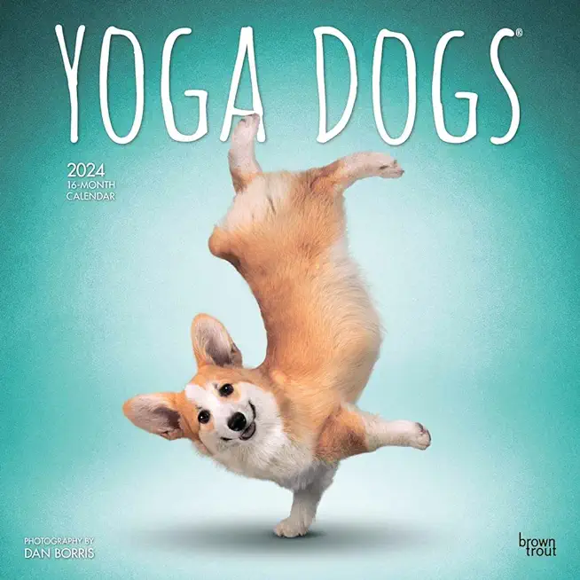 Yoga Dogs 2024 Square