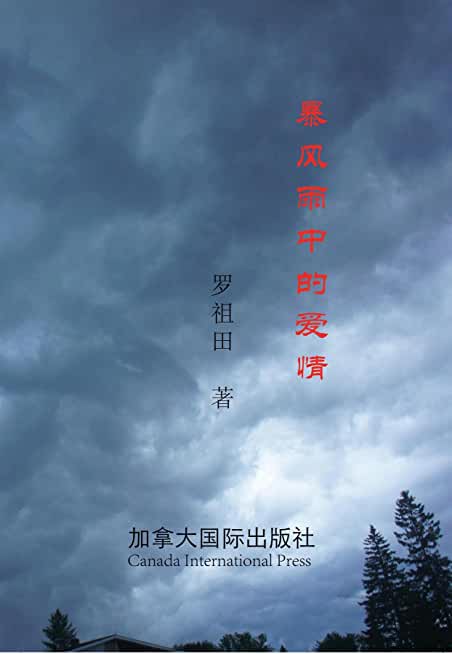 暴风雨中的爱情