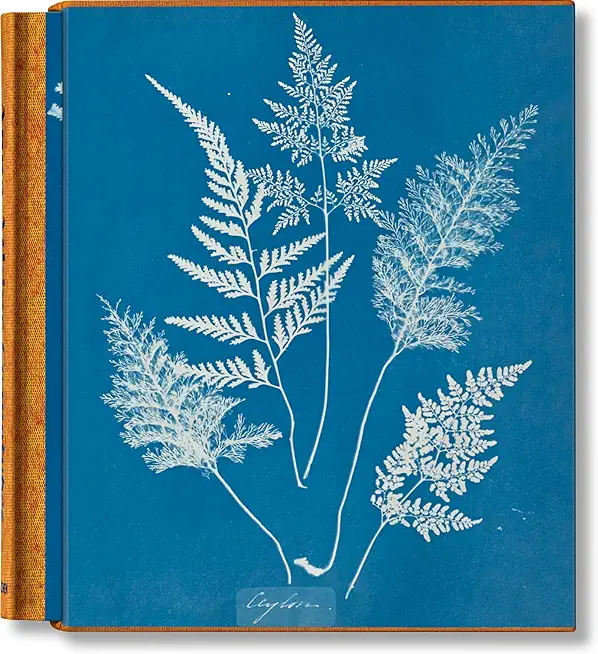 Anna Atkins. Cyanotypes