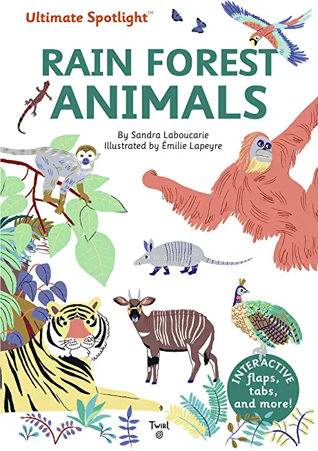 Ultimate Spotlight: Rain Forest Animals