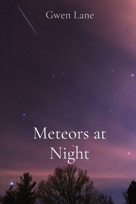 Meteors at Night