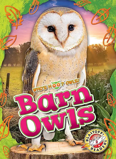 Barn Owls