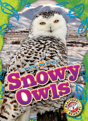 Snowy Owls